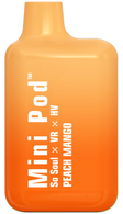 Mini Pod 1000 Disposable Pod Device NM